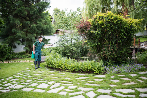 Best Pest Prevention Services  in Lake Wilderness, VA