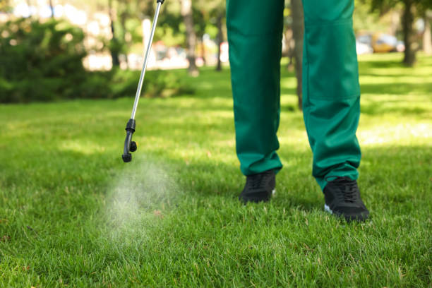 Best Cockroach Control Services  in Lake Wilderness, VA