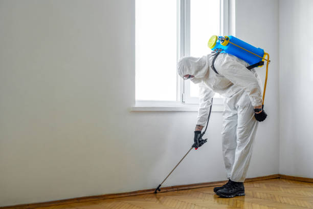 Best Flea Control Services  in Lake Wilderness, VA