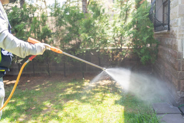 Bird Control in Lake Wilderness, VA