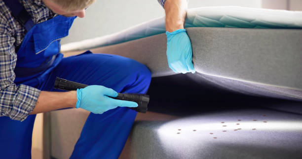 Best Termite Control Services  in Lake Wilderness, VA